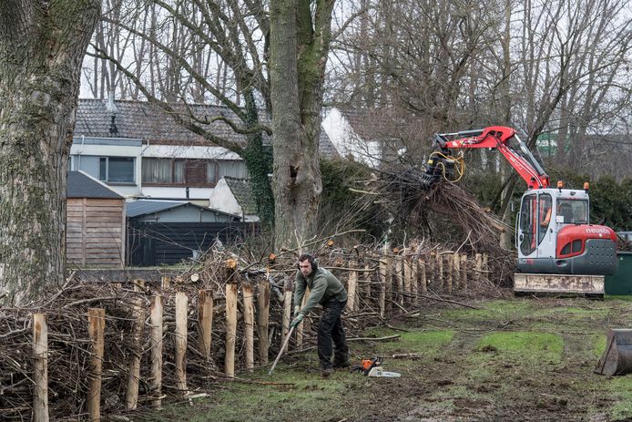 Het bunzing- en wezelpad langs de Kanaalstraat in Tiel-Oost oogt nu een stuk beter dan de ‘groene klikostort’ van eind vorig jaar.