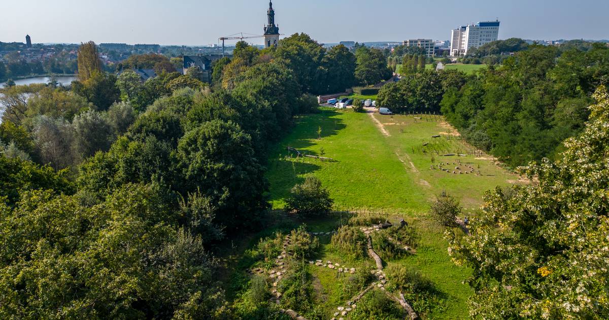 Nieuwe avontuurlijke speelzone Warande in Abdij van Park: “Het prachtige zicht op de abdijtoren krij