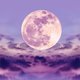 De volle maan van 31 oktober: dít kun je ervan merken