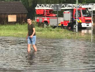 Wolkbreuk boven Limburg: straten en kelders onder water in Lanaken en Zutendaal