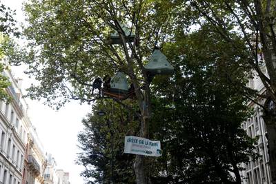 Klimaatactivist na tien dagen uit boom gehaald in Parijs