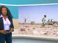 Zambiaanse weervrouw vraagt aandacht voor klimaatcrisis op Eén