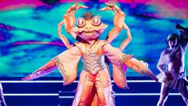 King Krab legt ons haar nieuwe regels uit