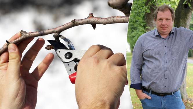 Groene vingers in januari? Absoluut: voor deze tuinklussen is het nu hét ideale moment