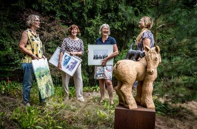 Na zes jaar weer Kunst-Zinnig in Vessem, nu ook met livemuziek