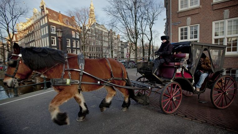 Een rijtuig voor toeristen in Amsterdam. Beeld ap