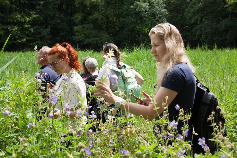 Deelnemers van de workshop duurzaam wildplukken in Heemtuin het Vogeleiland in het Amsterdamse Bos.  Beeld Nina Schollaardt