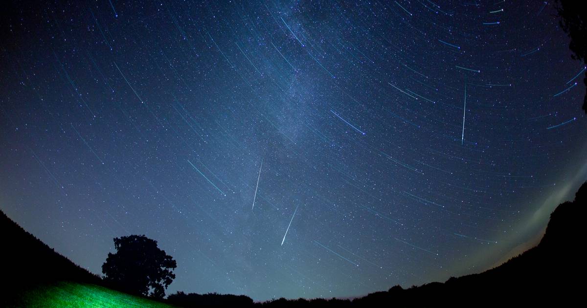 Spot up to 30 meteors per hour tonight thanks to the peak of the Leonid meteor shower |  Science and the planet