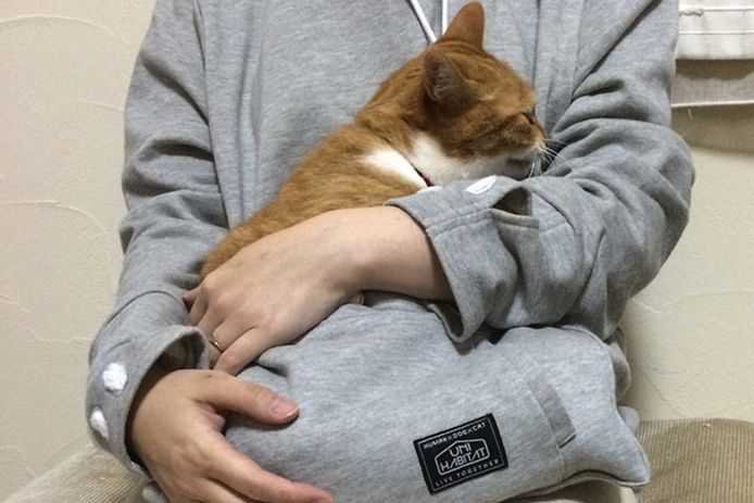 Draag je kat als een kangoeroe dankzij deze trui | Joepie hln.be
