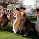 Cultuurblog - Louis Vuitton lijft mode van Christian Dior in