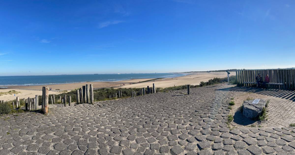 MIJN FOTO | Paalridders in Zeeuws-Vlaanderen