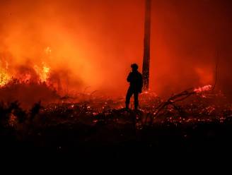 IN KAART. Frankrijk gaat gebukt onder “monsterlijke” bosbranden: in Gironde alleen al gebied van ruim 10.000 voetbalvelden in as gelegd