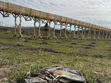 Une passerelle de forêt hongroise construite avec de l’argent européen... sans forêt