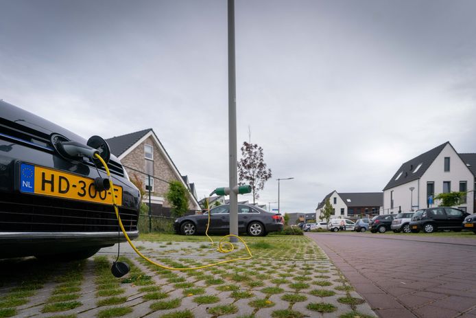 snijder rand dauw Veenendaal wordt eigenaar straatverlichting om straks zelf geld te  verdienen met slimme lantaarnpalen | Veenendaal | AD.nl