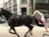 Chaos in Londen door op hol geslagen koninklijke paarden