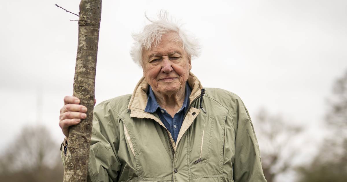 The End of the Age: David Attenborough (97) presents the final series ‘Planet Earth’ |  Instagram @HLN