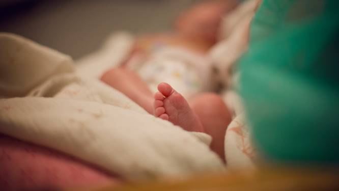 Bijzondere bevallingservaring: ‘Mijn pasgeboren baby sliep op het kantoor’