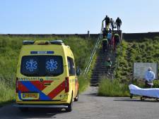 Duiker gewond geraakt bij Zuid Langeweg in Dreischor