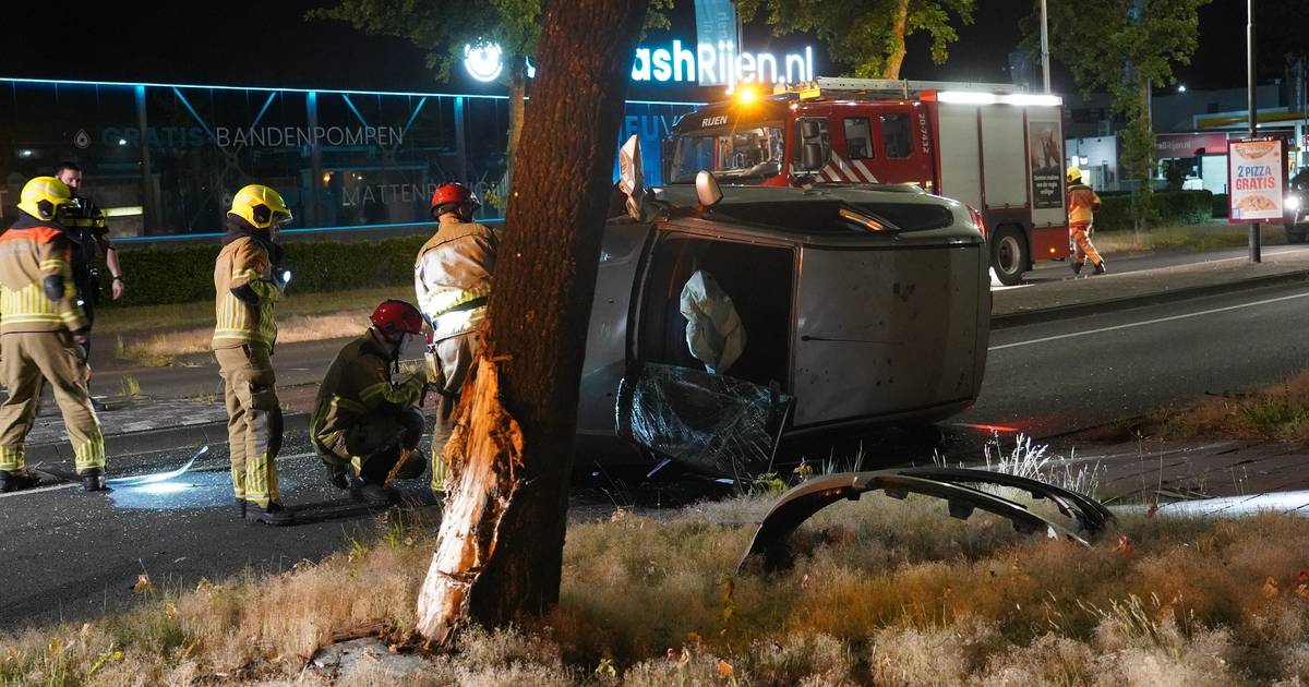 Man gewond na botsing tegen boom in Rijen.