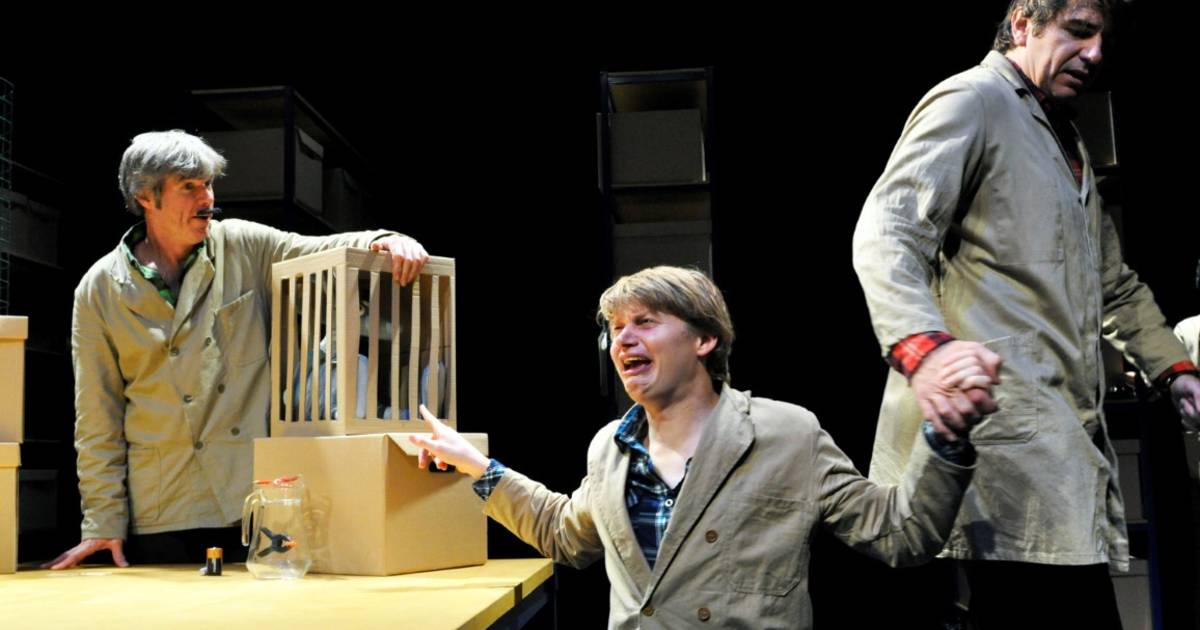 Kwatta brengt successtuk &lsquo;Mismuis&rsquo; nog eens: zwanenzang of doorstart van jeugdtheater?