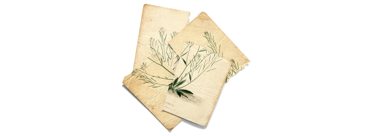 null Image Ricardo Thomas