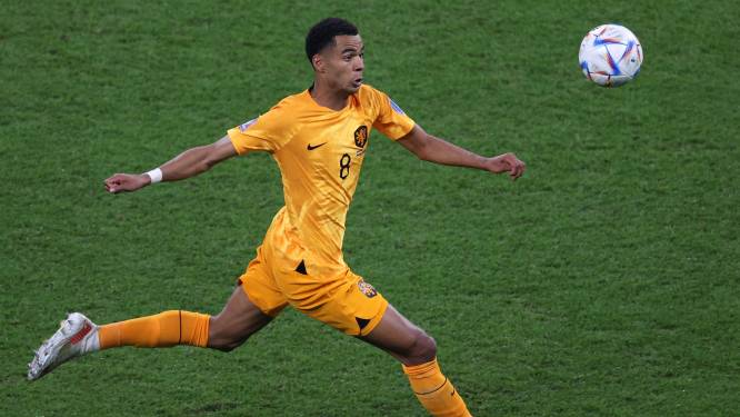 Panenka: ‘Inmiddels is Cody Gakpo 20 miljoen meer waard’