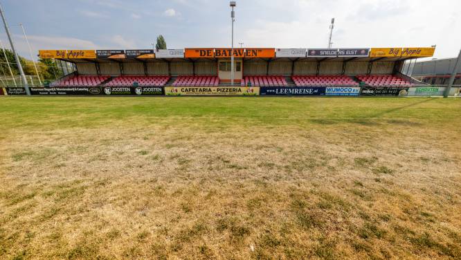 Geel in plaats van groen: Arnhemse en Betuwse sportclubs strijden tegen de droogte