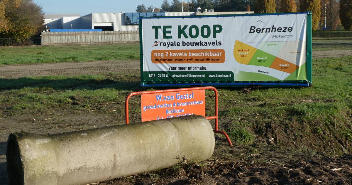 Verstelbaar Verlammen Gorgelen Familie kan toch weide verkopen als bouwkavels bij Poort van Berlicum | Den  Bosch, Vught | bd.nl