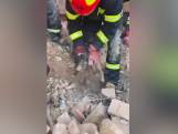 Oekraïense hulpdiensten halen puppy onder het puin vandaan