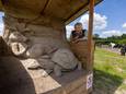 De door Lipkje Ferwerda gemaakte zandsculptuur van de haas en de schildpad is klaar, ziet boswachter Harco Bergman.