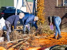 2199 bomen uitgedeeld in Zwartewaterland: ‘Doel is 1,1 miljoen nieuwe bomen in Overijssel’