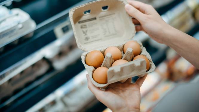 Kun je een supermarkt-ei uitbroeden? ‘Na zo’n drie weken hoor ik gepiep’
