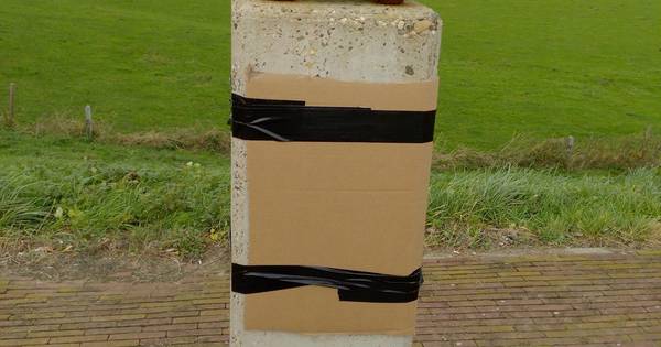 Gemeente Maasdriel laat hakenkruis op beeld Heerewaarden verwijderen