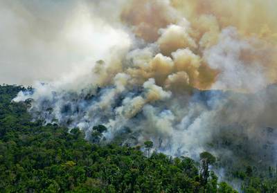 Op één na meest verwoestende meimaand door branden in Amazonegebied: merendeel vermoedelijk met opzet aangestoken