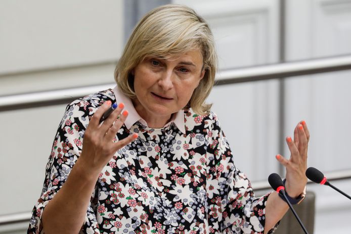 Vlaams minister van Onderwijs Hilde Crevits (CD&V) .