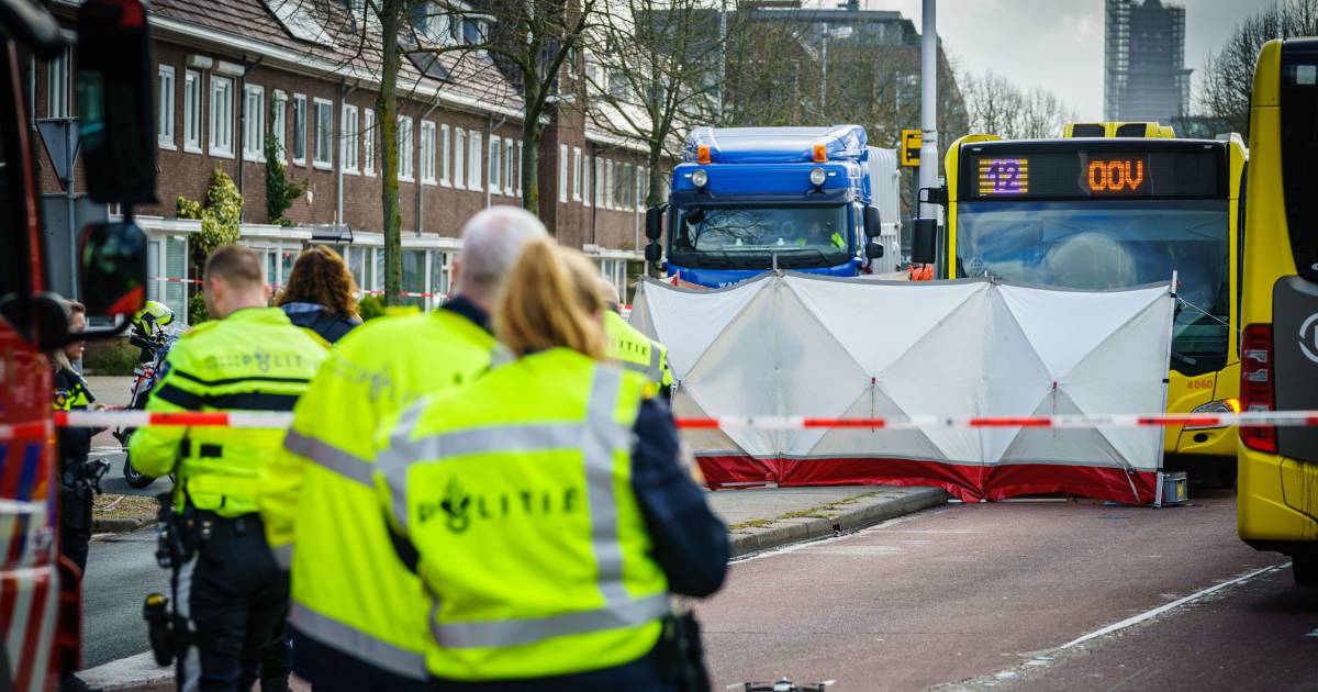 Op weg naar school gaat het vreselijk mis: meisje overlijdt na ongeluk met bus, broertje gewond.