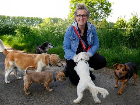 Wilma maakt matches tussen mensen en honden: ‘Ik noem mezelf altijd ‘hondofiel’
