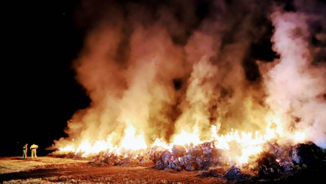 Brandweer zeer druk met recordaantal buitenbranden: ‘Oorzaak vuur vaak door menselijk handelen’