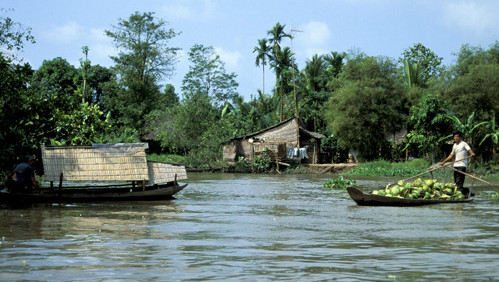 Poissons Trophée Pêcher En Thailande