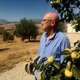 ‘Kijk eens hoe snel we alles vernietigen’: op bezoek bij Stefan Brijs in Andalusië