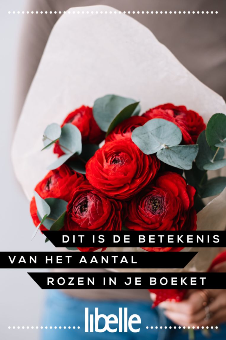 Op grote schaal Opa Hijsen Dit is de betekenis van het aantal rozen in je valentijnsboeket