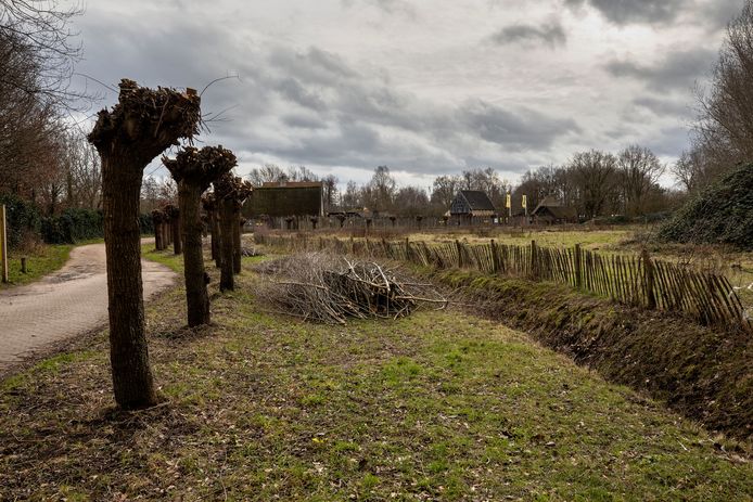 De entree van het preHistorisch Dorp aan de Boutenslaan in Eindhoven. Op het perceel aan de rechterzijde wil museum Vonk neerstrijken.