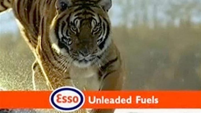 Esso-tijger op respectabele leeftijd van 22 jaar | | AD.nl