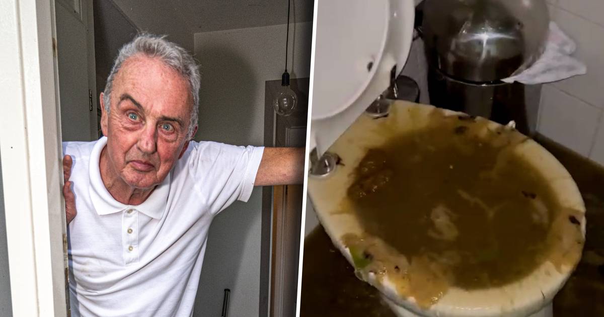 Bemoedigende reacties voor Leo na riooldrama in Zwolle, maar hij heeft nog wel veel vragen