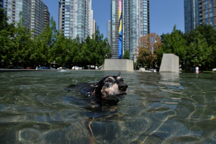 Près de 50° C dans la région de Vancouver (Vancouver, 29 juin)