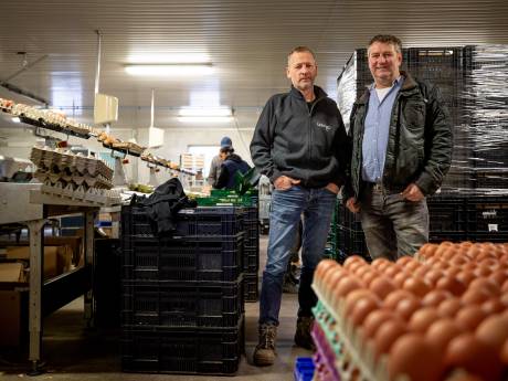 Van wijn tot kwark: Brabantse boeren bundelen krachten met online-verkoop van verse streekproducten