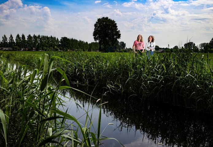 Marlies van der Zanden met dochter Manoek op hun boerenland, dat grenst aan een zijtak van de Dommel.