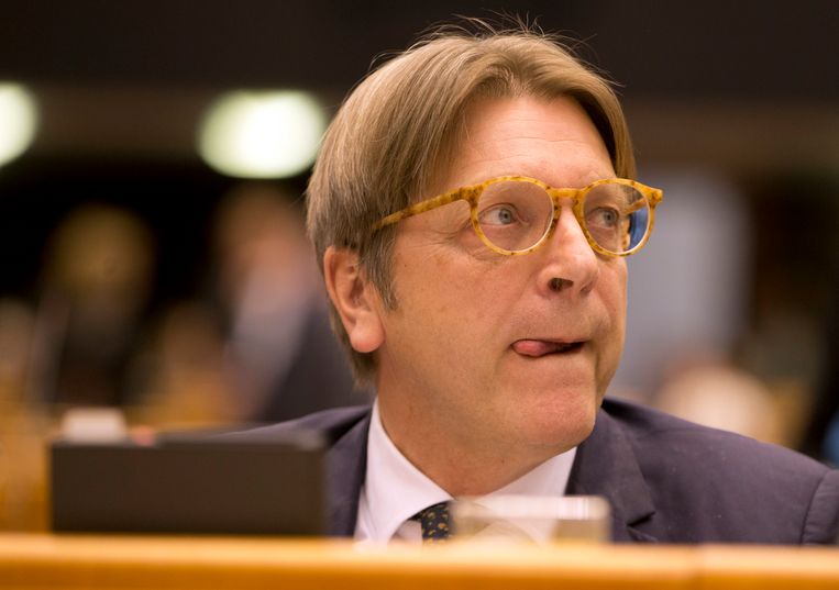 Liberaal fractieleider Guy Verhofstadt. Beeld AP