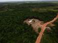 Europa start procedure tegen ons land in strijd tegen illegale houthandel