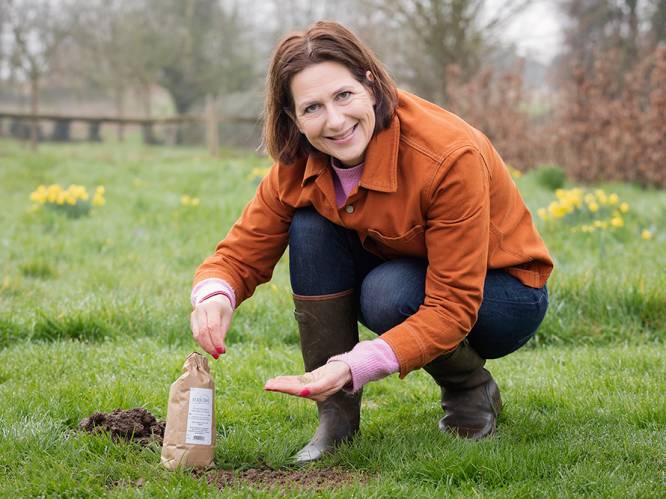 Je gazon weer in topvorm: onze tuinexperte legt uit hoe je het groot lenteonderhoud aanpakt